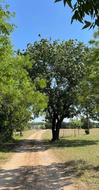 299 Private Road 1452, Chico TX 76431 - Photo 4
