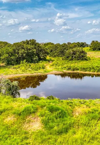 11500 Bowden Road, Lipan TX 76462 - Photo 4