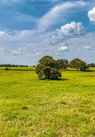 11500 Bowden Road, Lipan TX 76462 - Photo 5