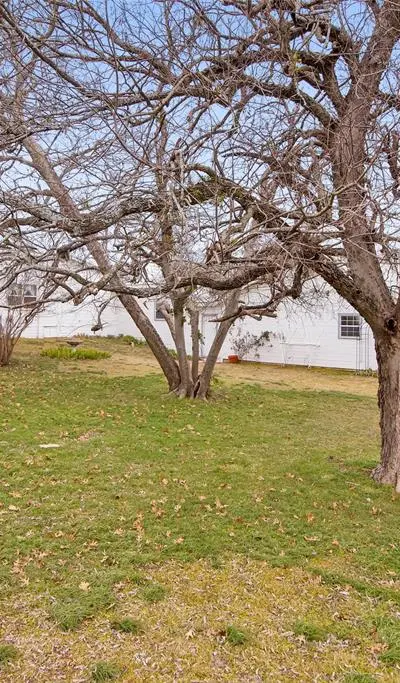 404 N Blanton, Whitewright TX 75491 - Photo 3