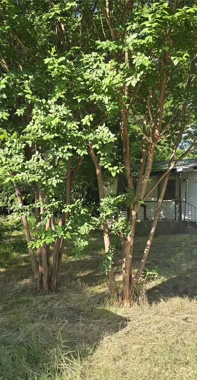 7755 White Dove, Lone Oak TX 75453 - Photo 2