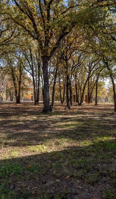 230 River Oaks Drive, Combine TX 75159 - Photo 3