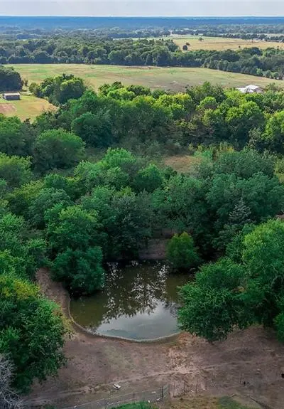 7248 Farm Road 275 S, Cumby TX 75433 - Photo 4