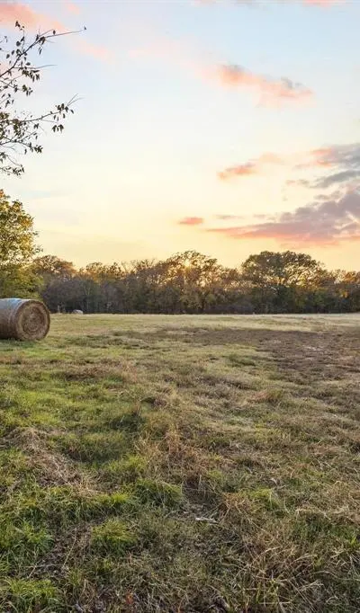 469 Dugan Chapel, Bells TX 75414 - Photo 4