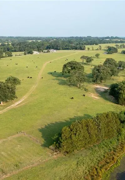 12301 N Holland Street, Eustace TX 75124 - Photo 2