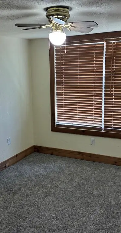 106 S Houston Street, Millsap TX 76066 - Photo 2