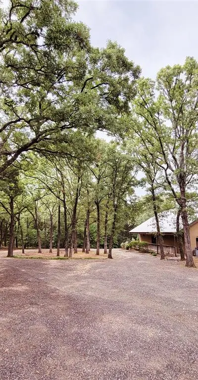 161 Colt Drive, Sadler TX 76264 - Photo 4