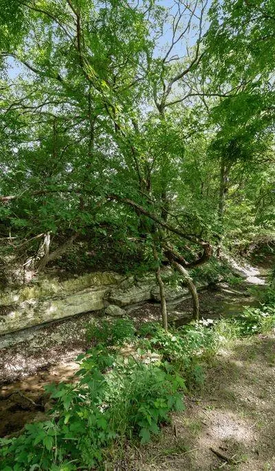 510 N D Ranch Road, Maypearl TX 76064 - Photo 3