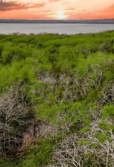 2301 Moseley Road, Cross Roads TX 76227 - Photo 2