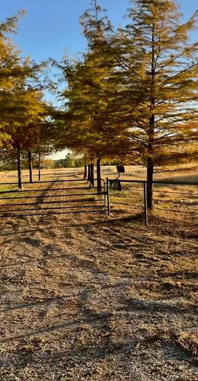 300 County Road 27100, Honey Grove TX 75446 - Photo 2