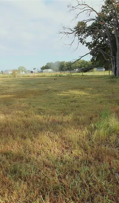 5199 Timarron Drive, Scurry TX 75158 - Photo 4