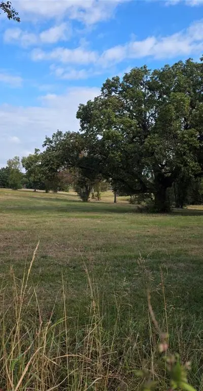 3830 County Road 4040, Whitewright TX 75491