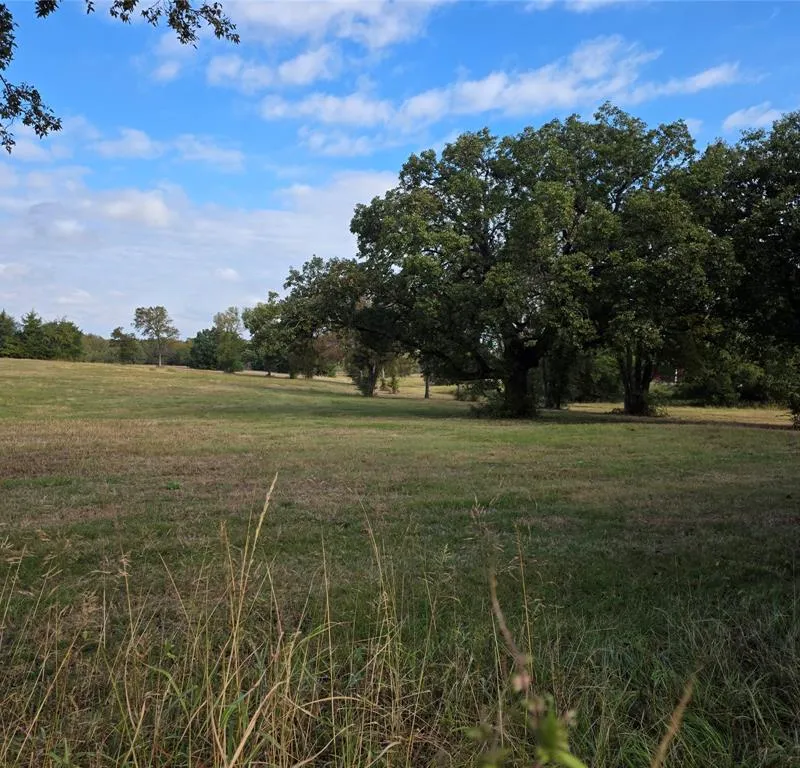 3830 County Road 4040, Whitewright TX 75491