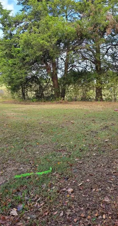 3830 County Road 4040, Whitewright TX 75491 - Photo 2