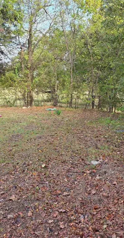 3830 County Road 4040, Whitewright TX 75491 - Photo 3