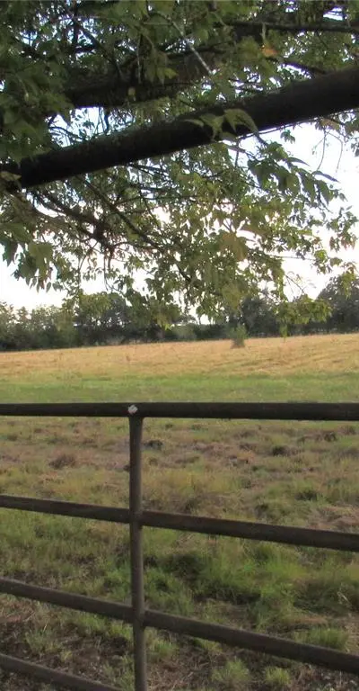 269 County Road 1008, Wolfe City TX 75496 - Photo 2