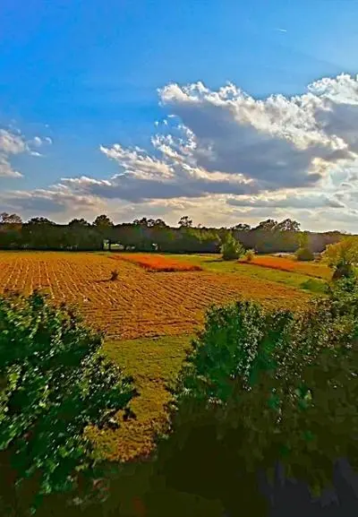 269 County Road 1008, Wolfe City TX 75496 - Photo 4