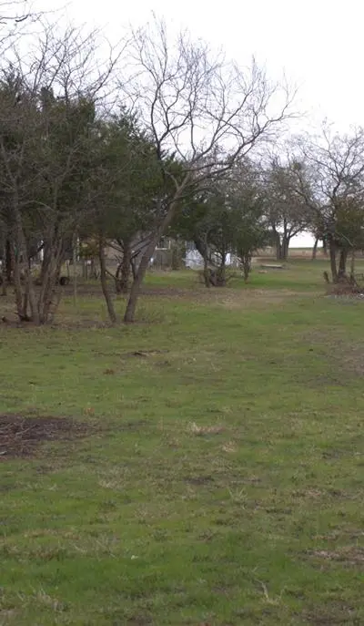 8660 County Road 308, Terrell TX 75161 - Photo 4