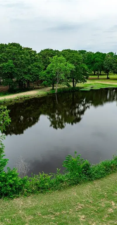1600 Historic Lane, Cross Roads TX 76227 - Photo 4