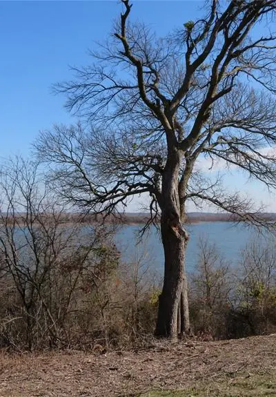 272 Chisam Road, Valley View TX 76272 - Photo 2