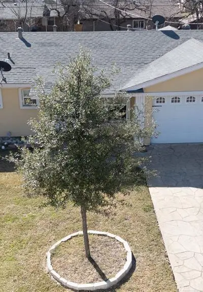 913 Russell Road, Everman TX 76140 - Photo 3