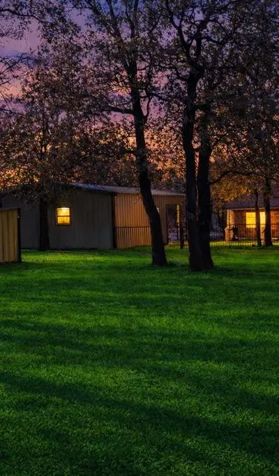 1271 County Road 3555, Paradise TX 76073 - Photo 2
