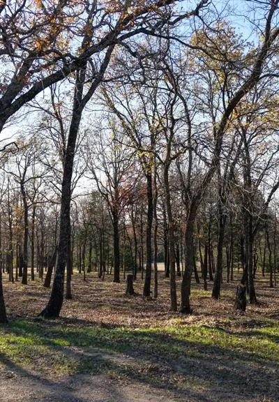 100 Oakmont Drive, Mabank TX 75147 - Photo 3