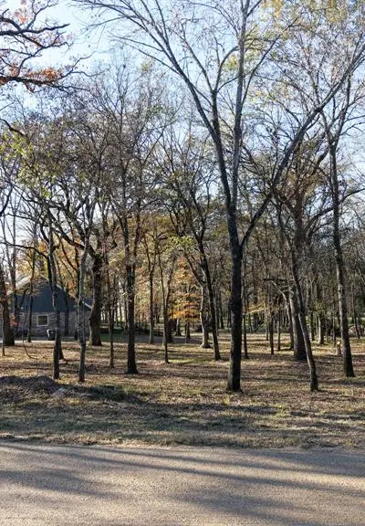 126 Lakeview Trail, Mabank TX 75147 - Photo 2