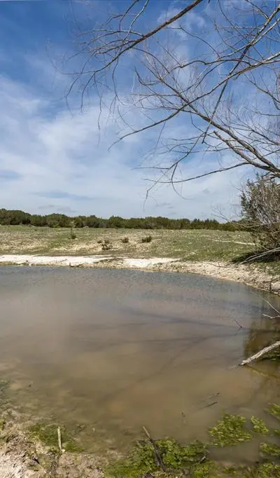 9885 County Road 270, Hico TX 76457 - Photo 5
