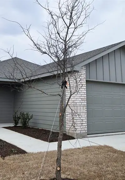 205 Choctaw Drive, Leonard TX 75452 - Photo 2