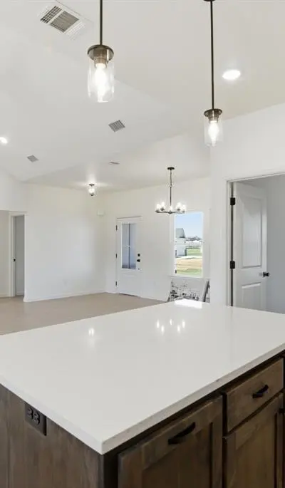 252 Yawney Drive, Lipan TX 76462 - Photo 4
