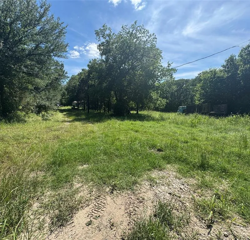 329 S Skyline Court, Cresson TX 76035