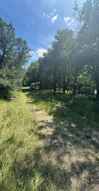 329 S Skyline Court, Cresson TX 76035 - Photo 4