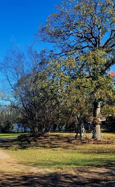 2482 Fm 2946, Emory TX 75440 - Photo 4