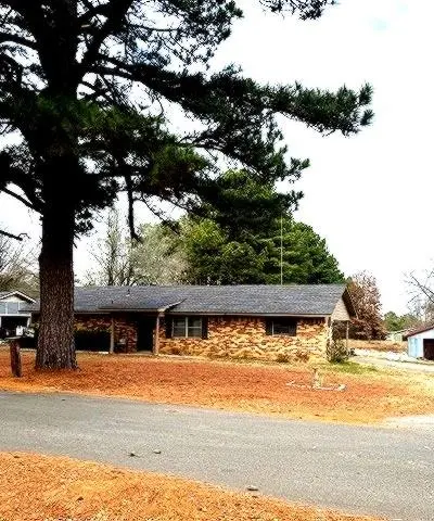 1525 Mansfield Road, Reno TX 75462 - Photo 2