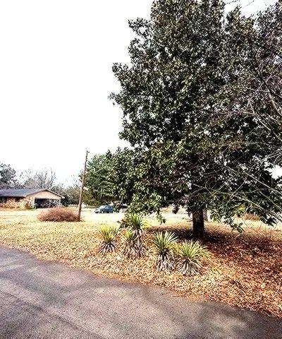 1525 Mansfield Road, Reno TX 75462 - Photo 5