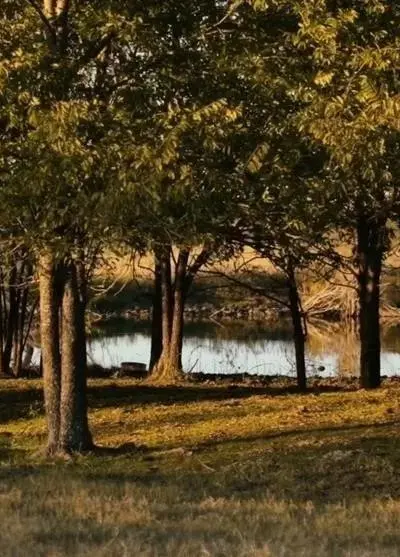 1179 E FM 813, Palmer TX 75152 - Photo 4
