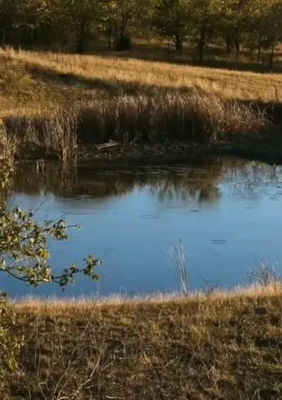 1179 E FM 813, Palmer TX 75152 - Photo 5