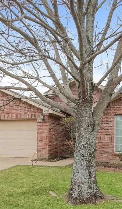 2049 Hollow Creek Drive, Dallas TX 75253 - Photo 3