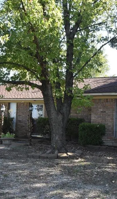 312 E Tripp Road, Sunnyvale TX 75182 - Photo 4