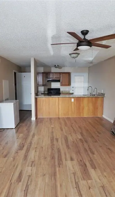 119 Austin Stone Drive, Duncanville TX 75137 - Photo 3
