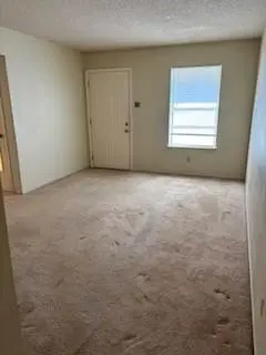 4212 Platte Drive, Balch Springs TX 75180 - Photo 4