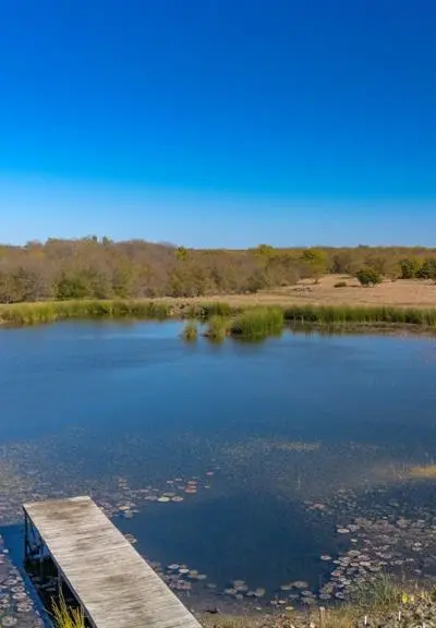 3794 County Road 1089, Celeste TX 75423 - Photo 2