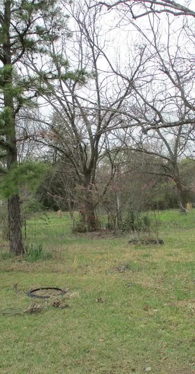522 E QUITMAN Street, Emory TX 75440 - Photo 2