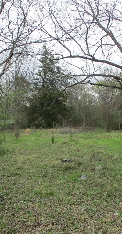 522 E QUITMAN Street, Emory TX 75440 - Photo 3