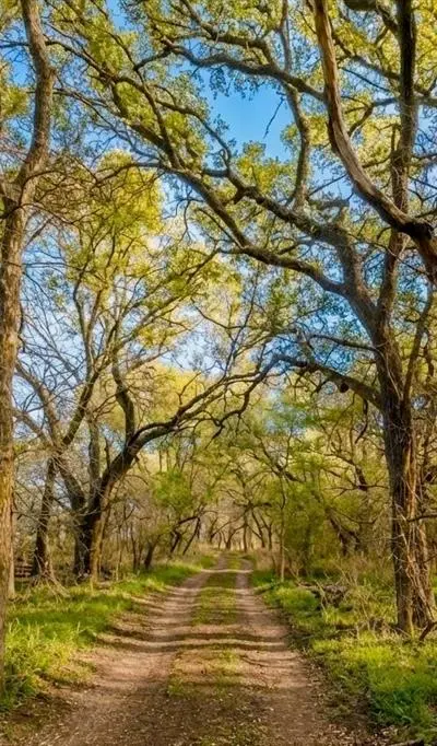 7328 HWY 183 N, Early TX 76802 - Photo 5