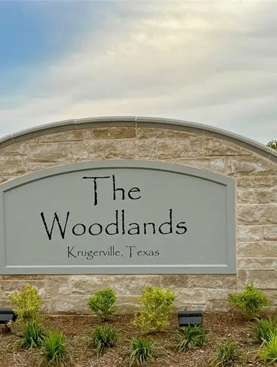 128 Texas Ash Drive, Krugerville TX 76227 - Photo 3