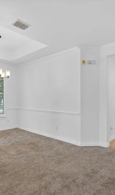 528 Birch Valley Court, Frisco TX 75036 - Photo 5