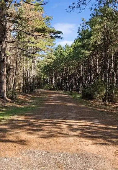 6990 Pin Oak Road, Big Sandy TX 75755 - Photo 3