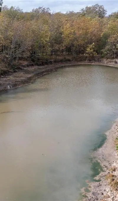 4081 Fm 2736, Campbell TX 75422 - Photo 3